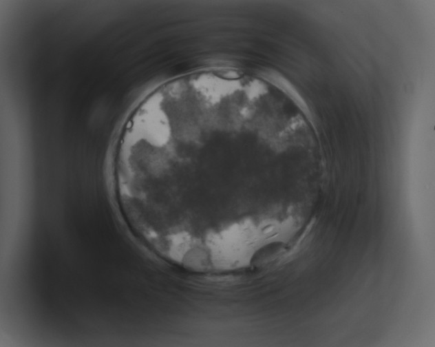 X0000100491243200807111116
