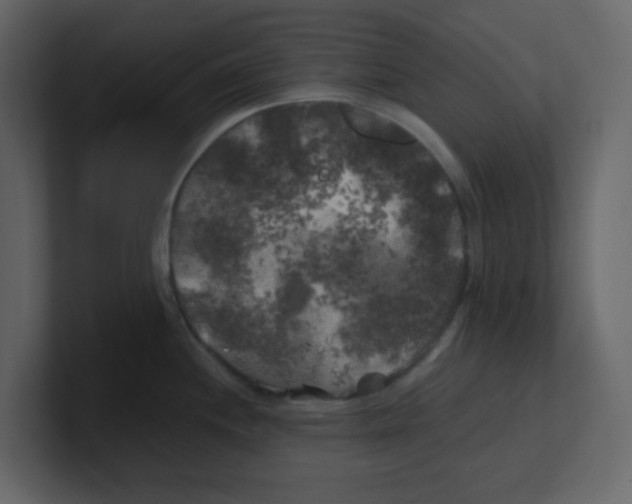 X0000100491244200807111116