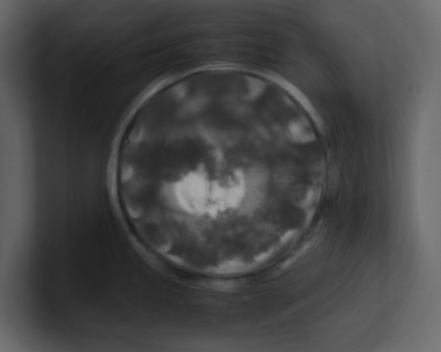 X0000100491245200807111116