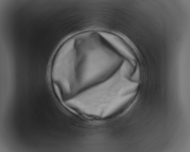 X0000100491246200807111116