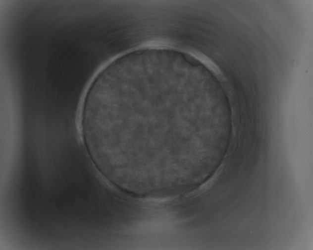 X0000100491248200807111116