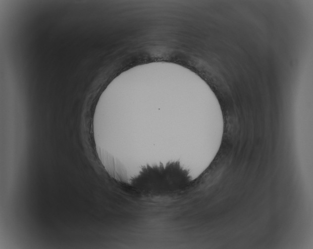 X0000100491249200807111115