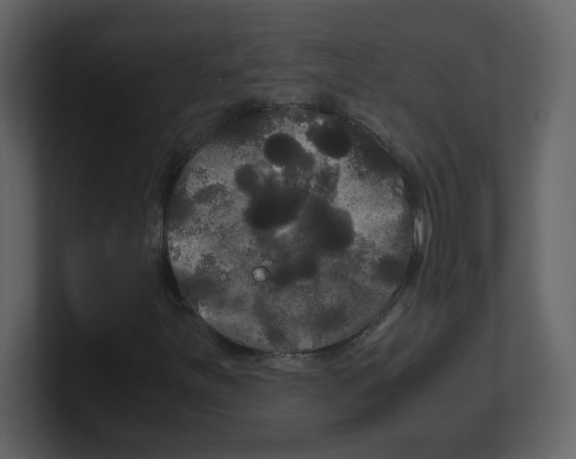 X0000100491251200807111115