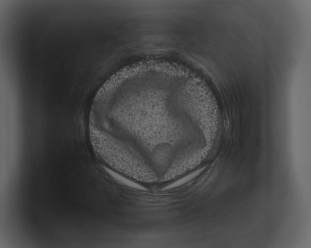 X0000100491252200807111115