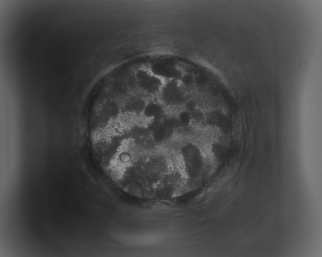 X0000100491255200807111115