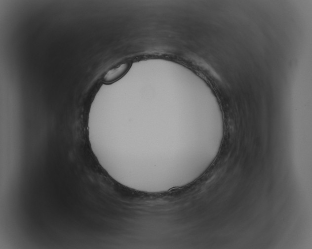 X0000100491256200807111115