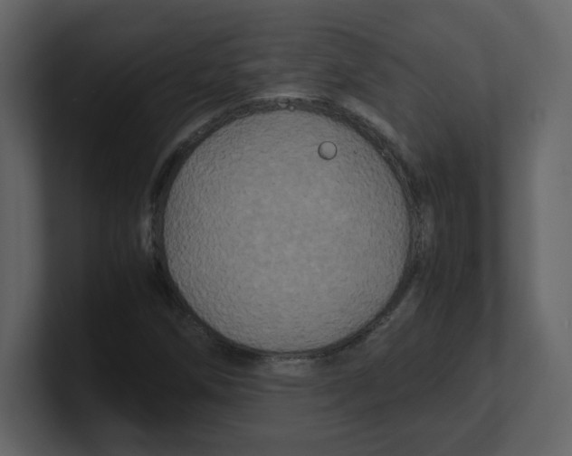 X0000100491258200807111115