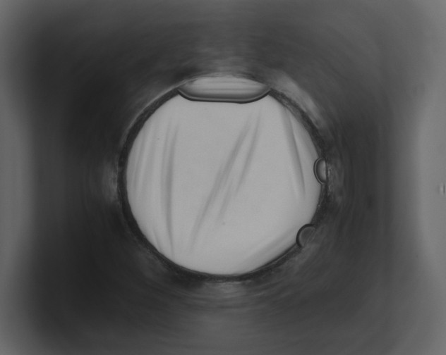 X0000100491260200807111115