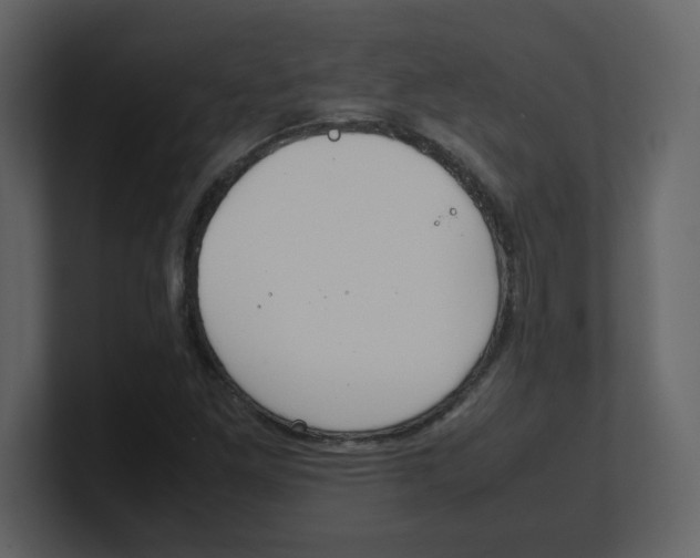 X0000100491261200807111115