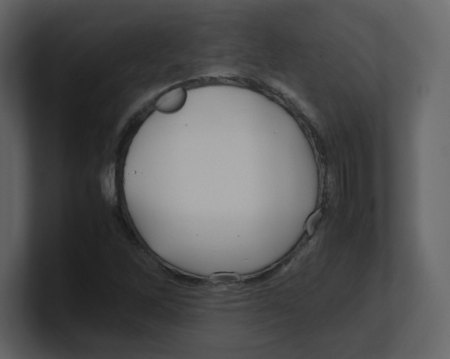 X0000100491262200807111115