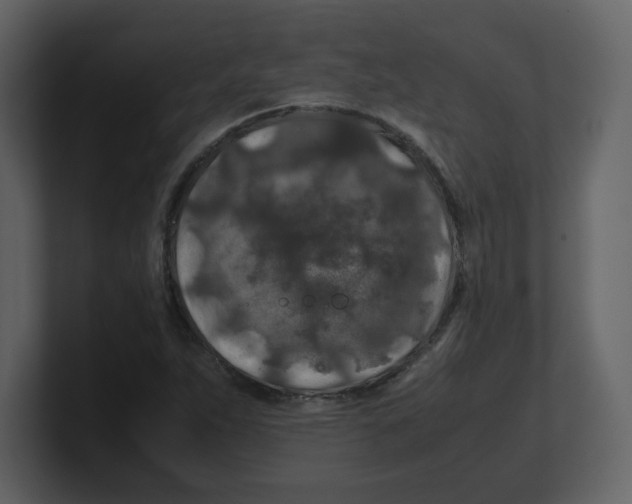 X0000100491263200807111115
