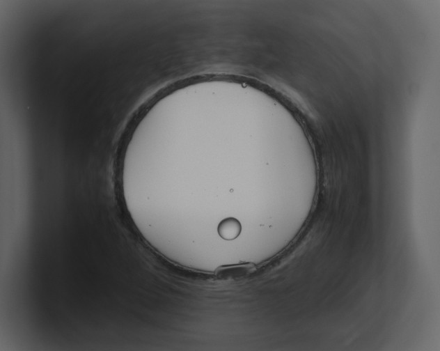 X0000100491264200807111115