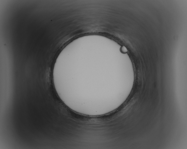 X0000100491265200807111115