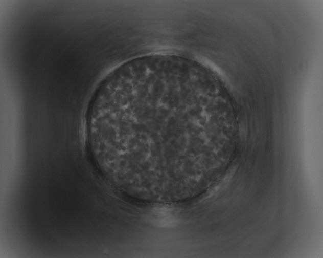 X0000100491267200807111115