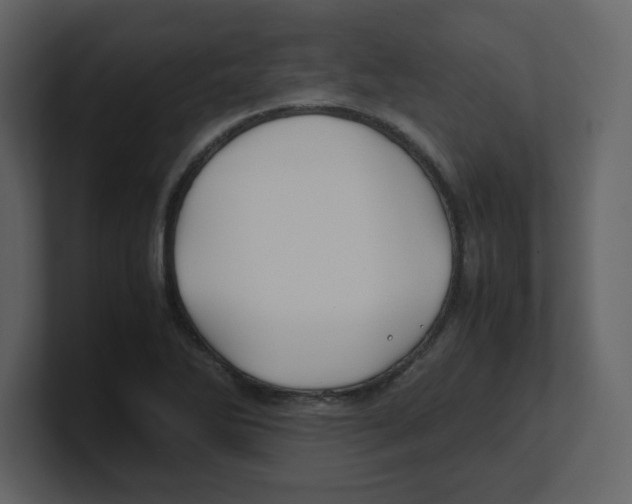 X0000100491270200807111115