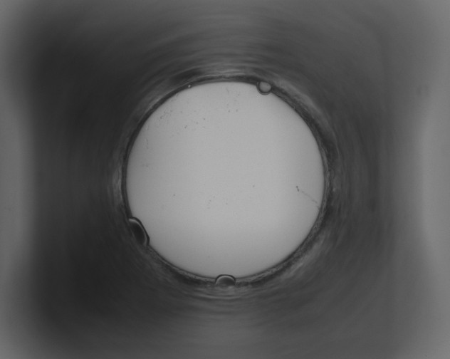 X0000100491273200807111115