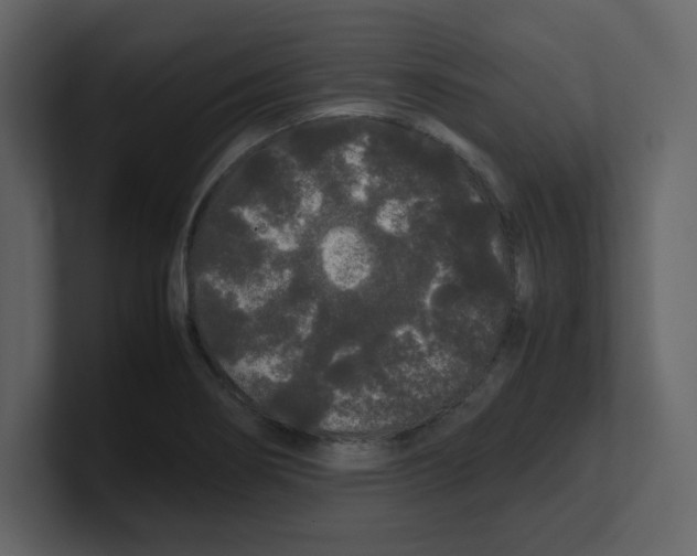 X0000100491274200807111115