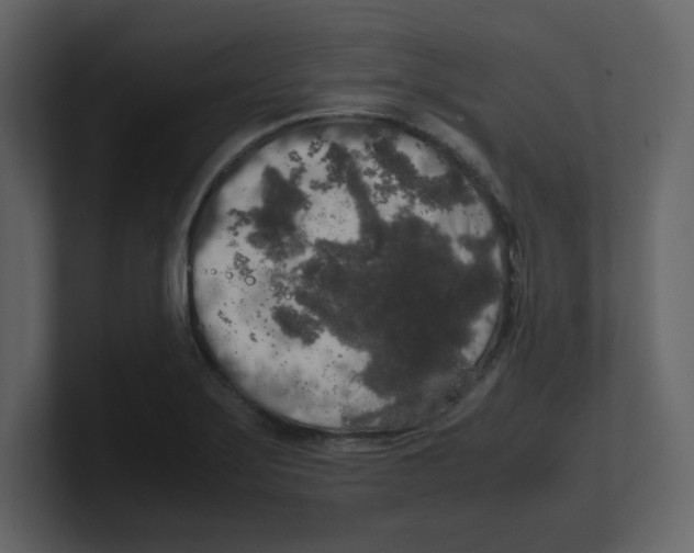 X0000100491275200807111115