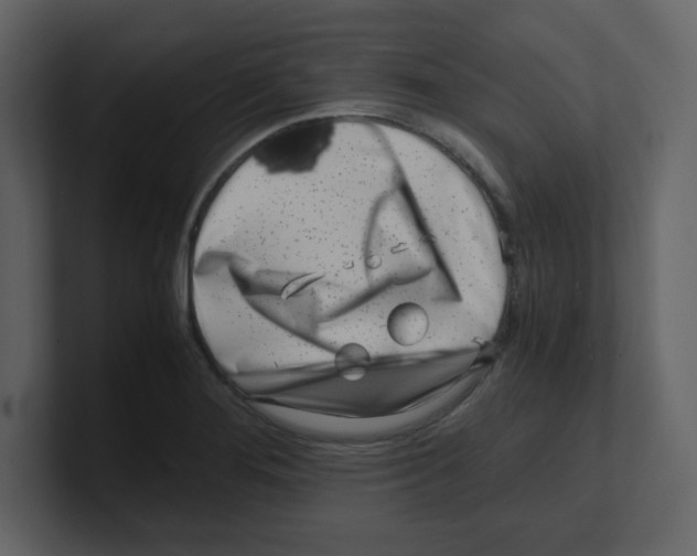 X0000100491276200807111115