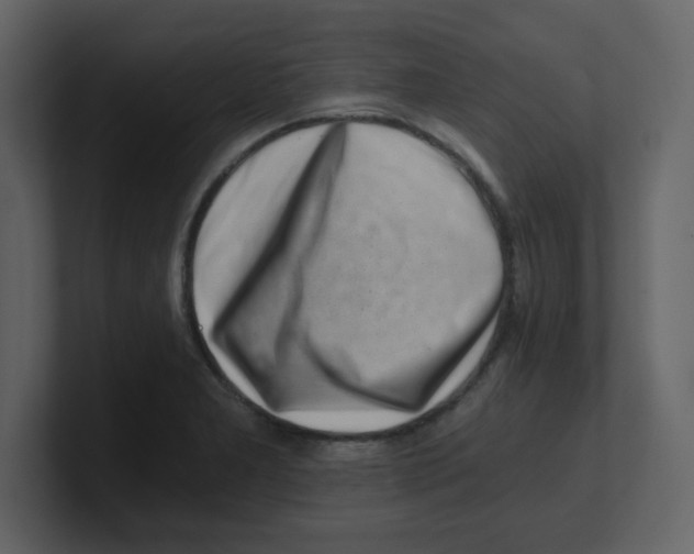 X0000100491277200807111115