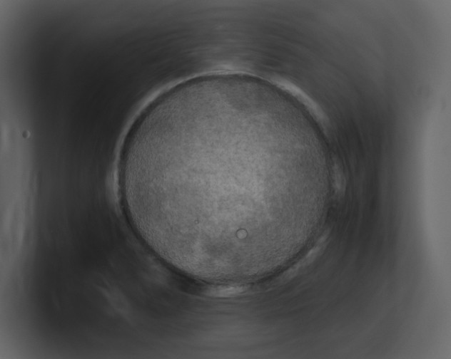 X0000100491278200807111115