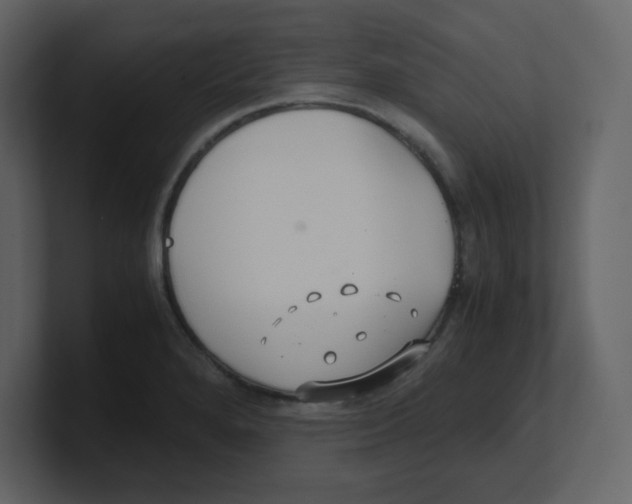 X0000100491280200807111115