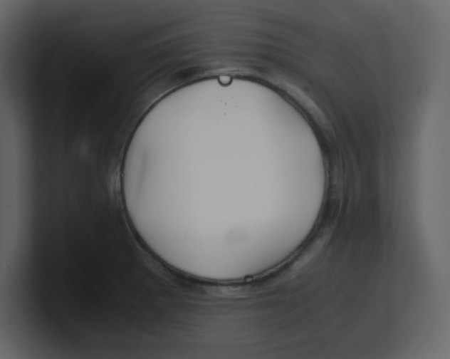X0000100491281200807111115