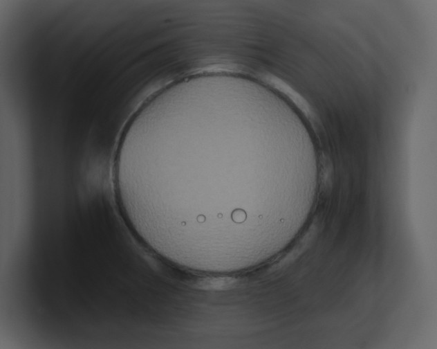 X0000100491282200807111115