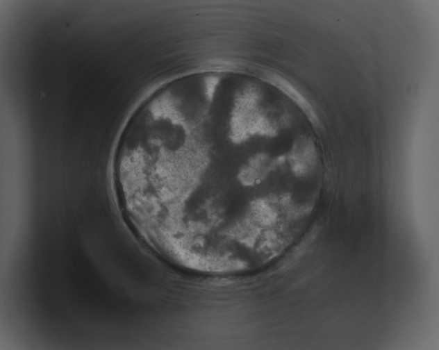 X0000100491283200807111115