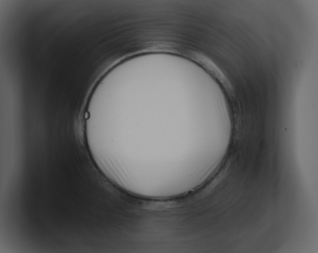 X0000100491284200807111115