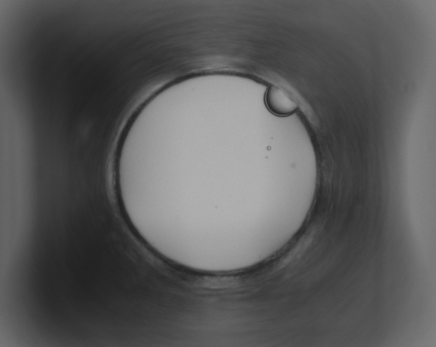 X0000100491285200807111115