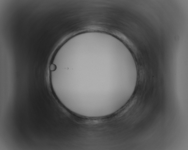 X0000100491286200807111115