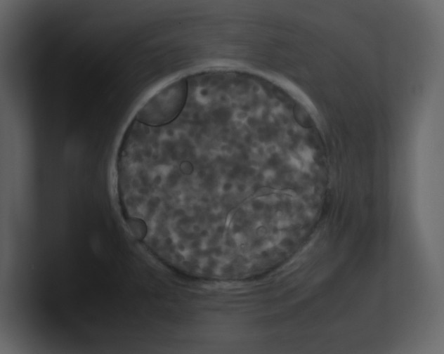 X0000100491287200807111115