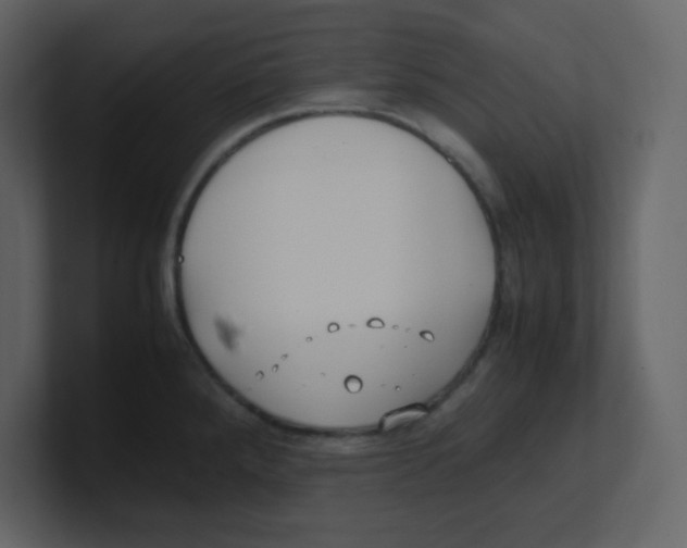 X0000100491288200807111114