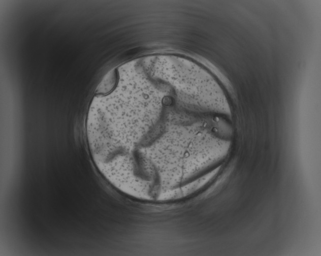 X0000100491289200807111114