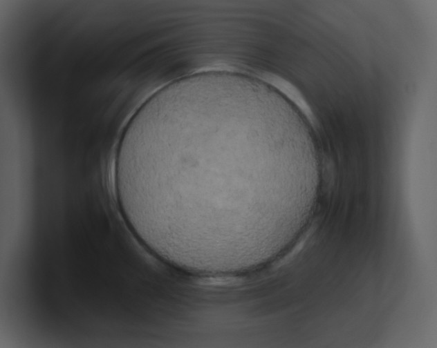 X0000100491290200807111114