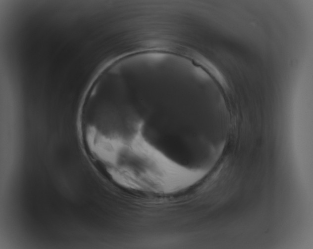 X0000100491291200807111114