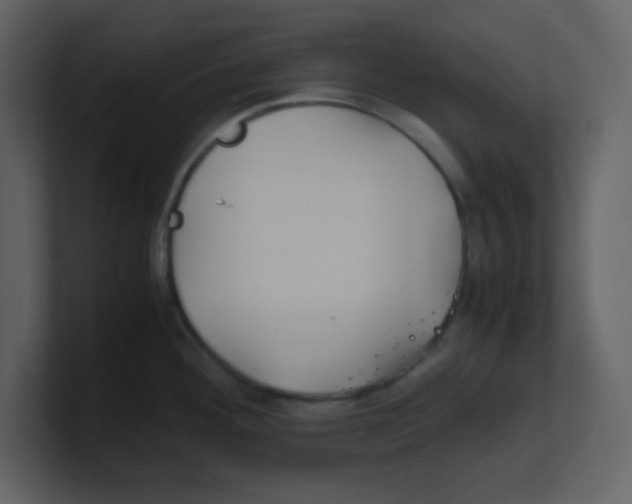 X0000100491292200807111114