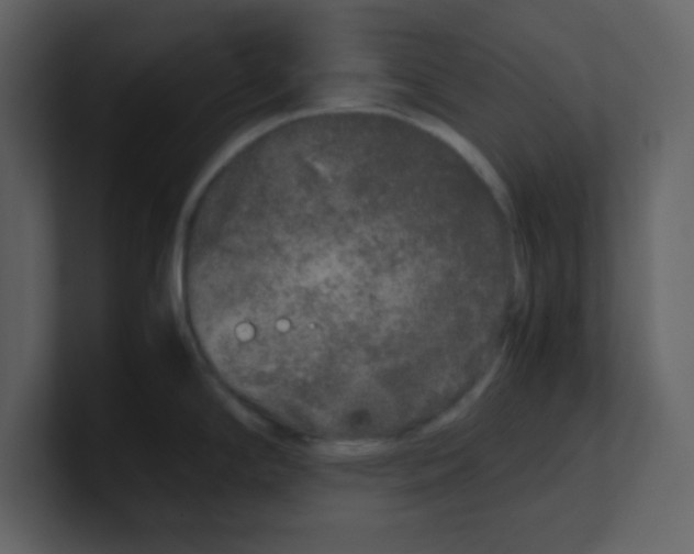 X0000100491294200807111114