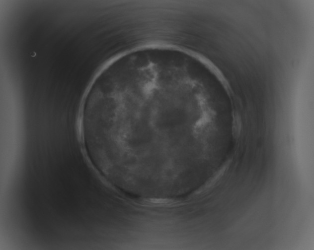 X0000100491295200807111114