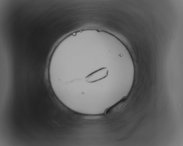 X0000100491296200807111114
