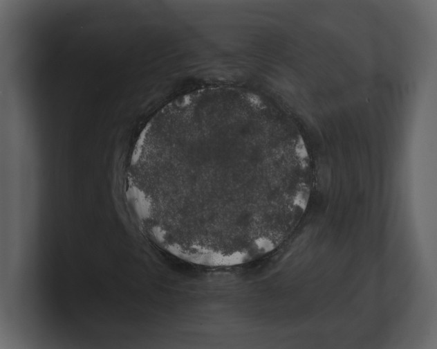 X0000100491297200807111114