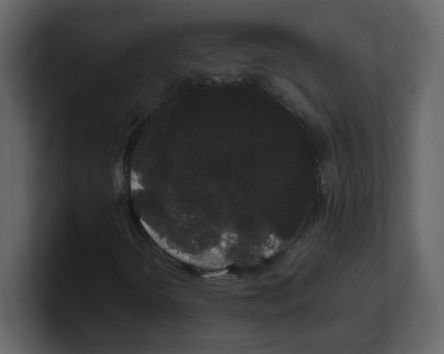 X0000100491298200807111114