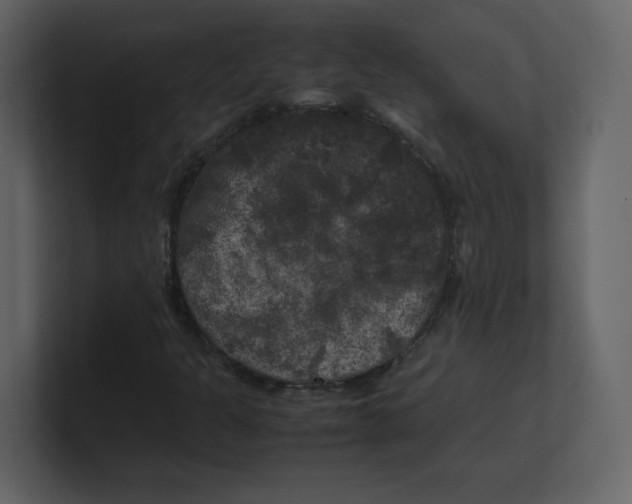 X0000100491301200807111114