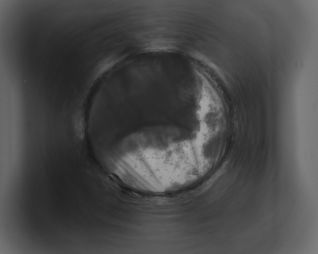 X0000100491306200807111114