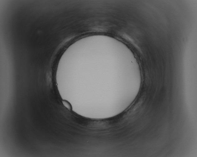 X0000100491307200807111114