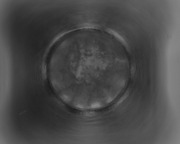 X0000100491310200807111114