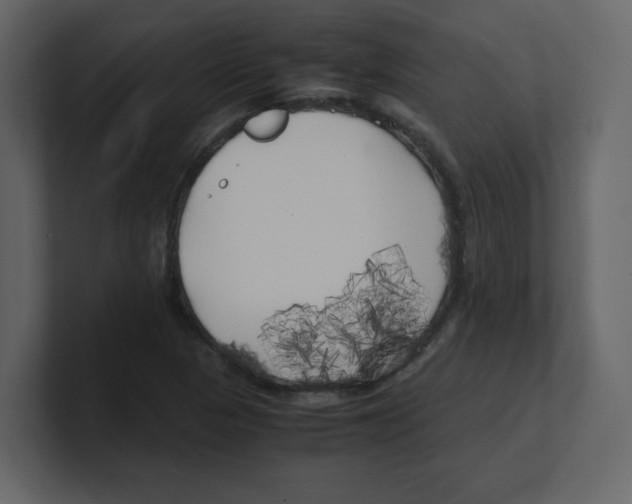 X0000100491313200807111114
