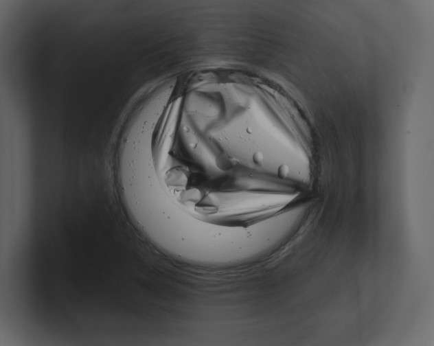 X0000100491314200807111114