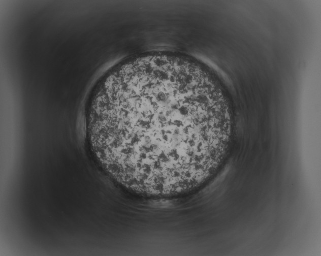 X0000100491317200807111114